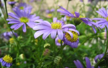  25454678 1stGallery 1