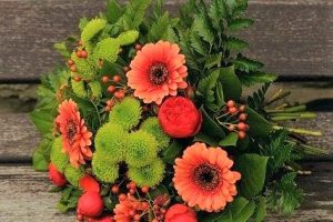 autumn flowers 1721896 640 kopie