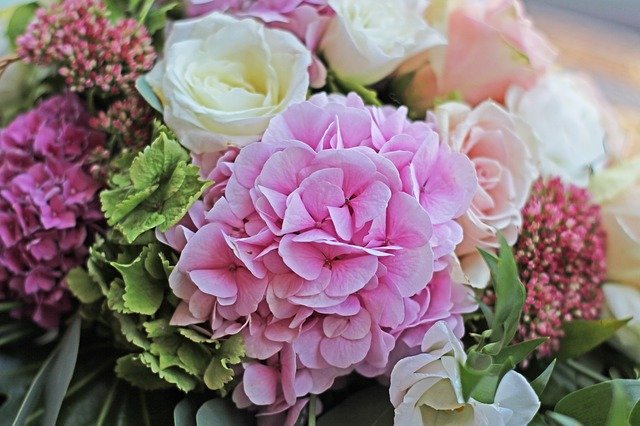hydrangea 3765122 640 Impressum