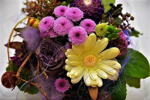 flowers 2900085 640 kopie