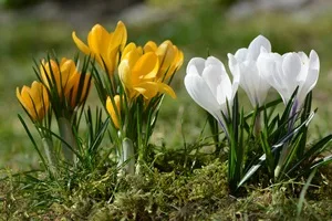  62653883 digitalfoto105 Impressum