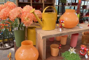 Accessoires IMG 1070